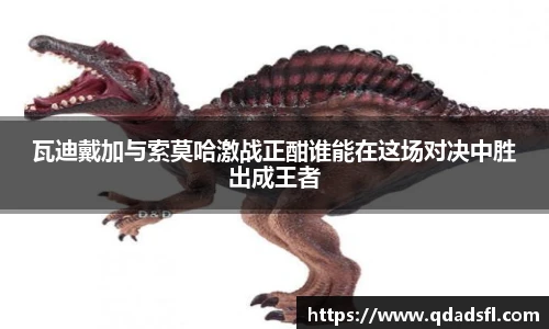 瓦迪戴加与索莫哈激战正酣谁能在这场对决中胜出成王者